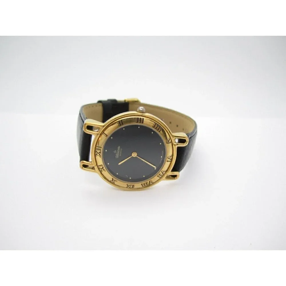 Women Altanus Geneva Swiss Made Quartz WR Analog Dial Causal Round Watch (E746)